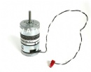 DC Motor